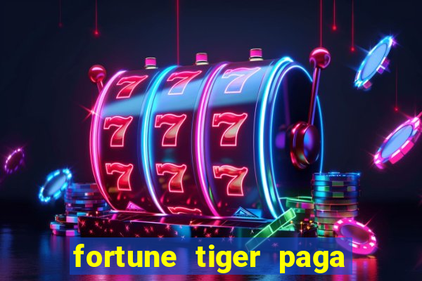 fortune tiger paga de madrugada